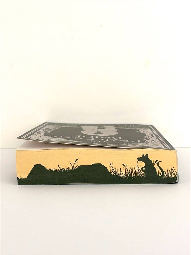 Princess Bride Deluxe Limited Edition, The : William Goldman